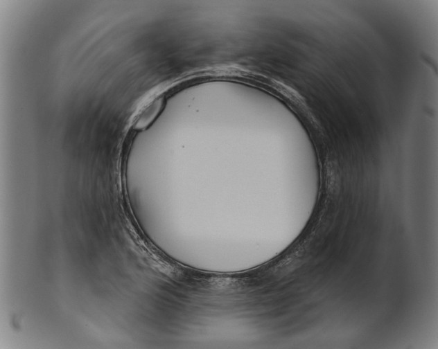 X0000100871176200807111310