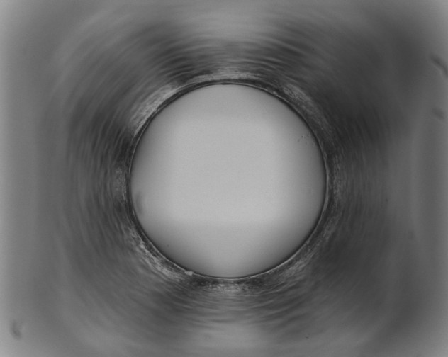 X0000100871177200807111310