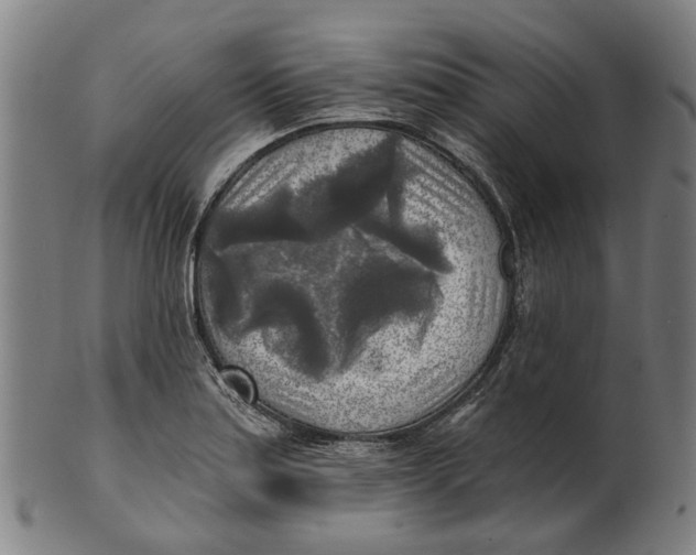 X0000100871179200807111310