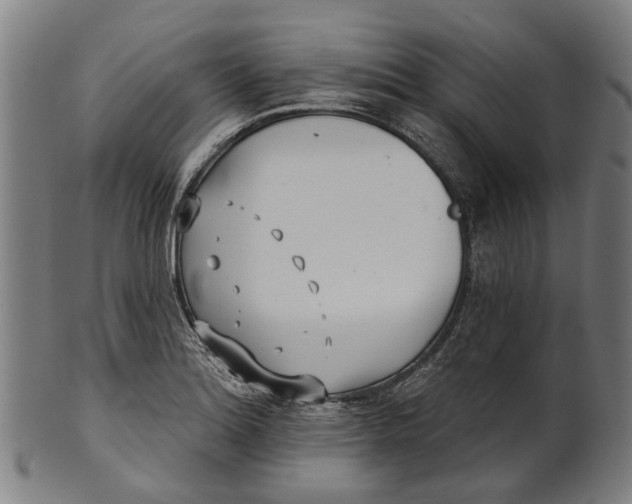 X0000100871180200807111310