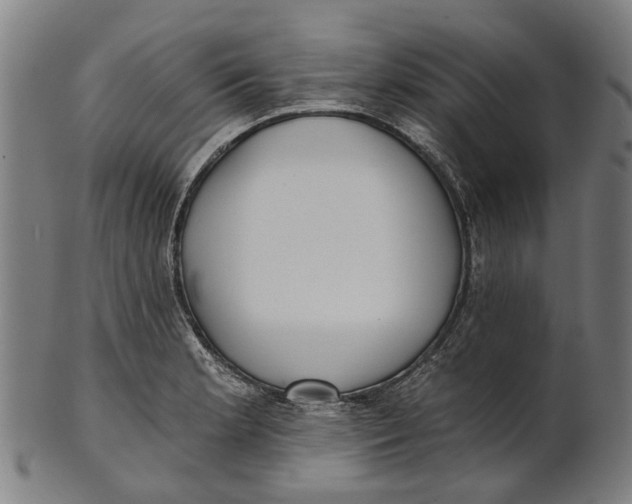 X0000100871181200807111310