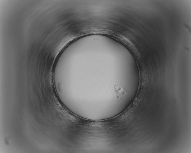 X0000100871182200807111310