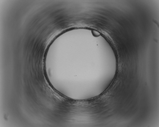 X0000100871183200807111310