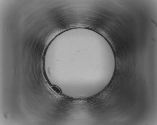 X0000100871187200807111310