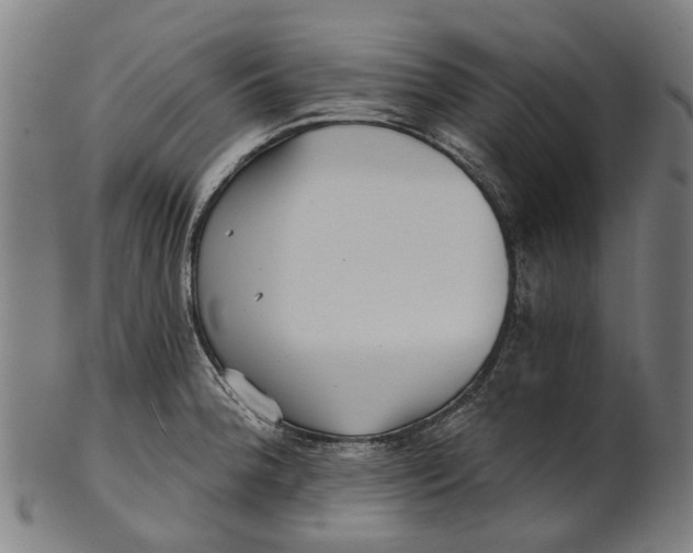 X0000100871188200807111310