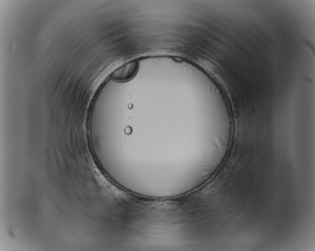 X0000100871189200807111310