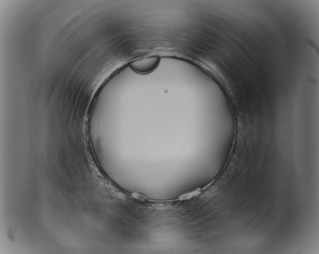 X0000100871190200807111310