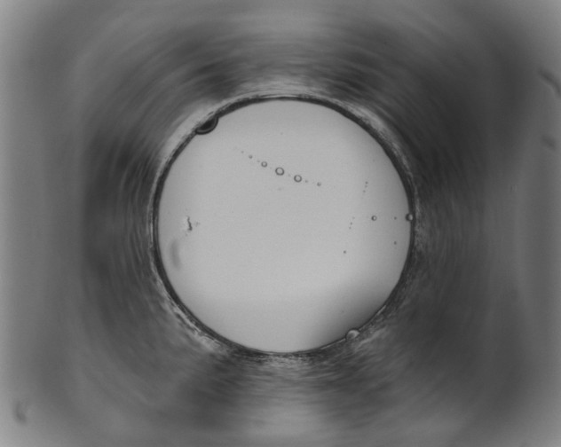 X0000100871191200807111310