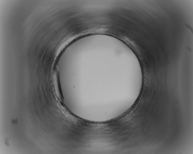 X0000100871192200807111310