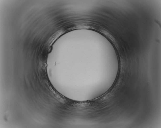 X0000100871193200807111310