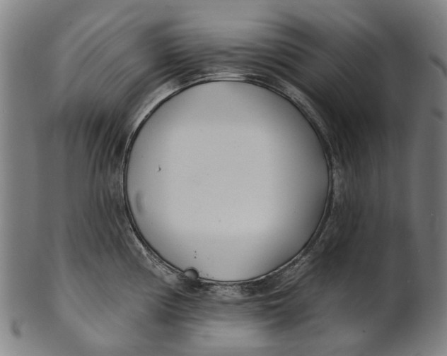 X0000100871194200807111310