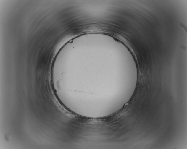 X0000100871195200807111310