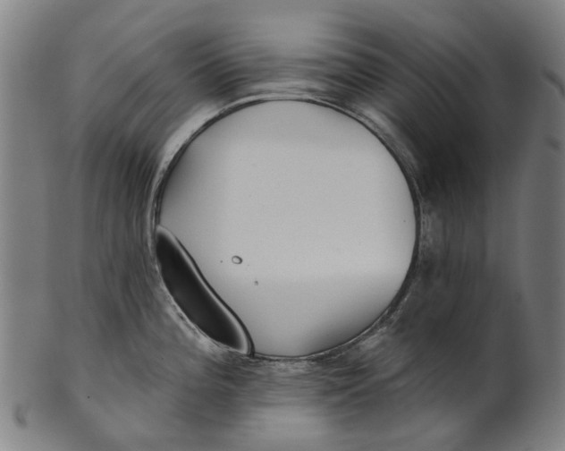 X0000100871196200807111310