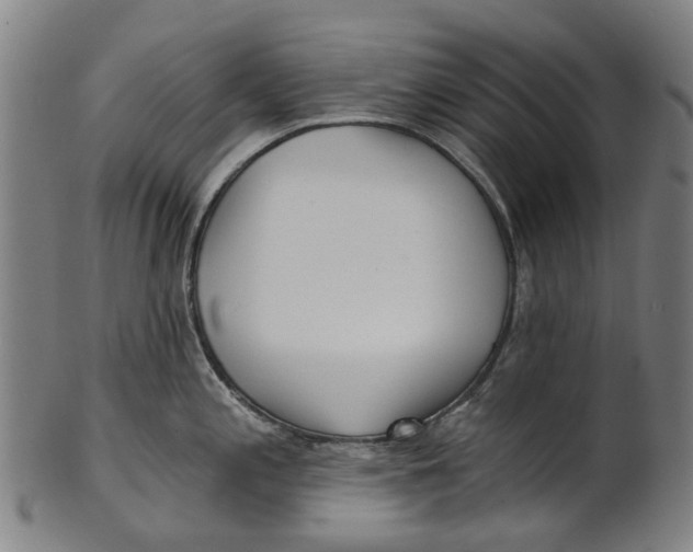 X0000100871197200807111310