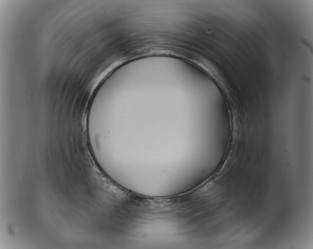 X0000100871198200807111310