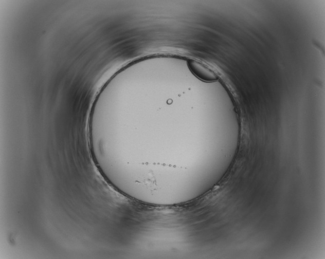 X0000100871199200807111310