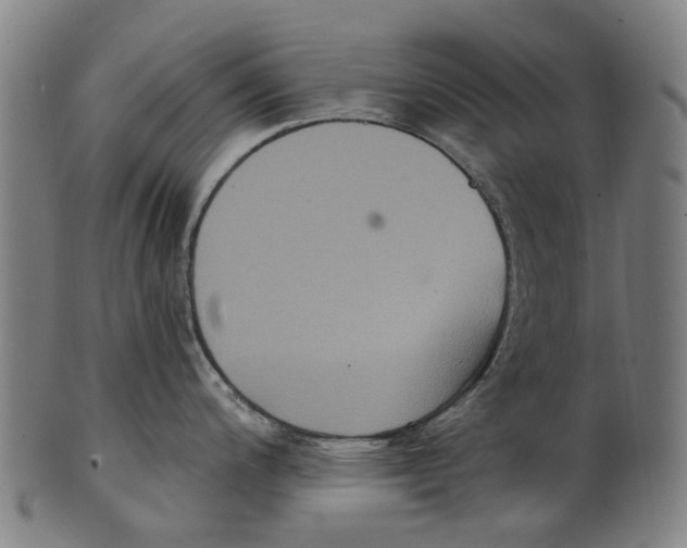 X0000100871200200807111310