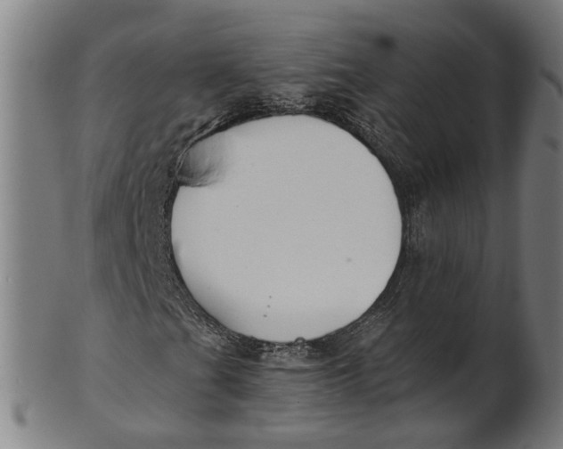 X0000100871201200807111309