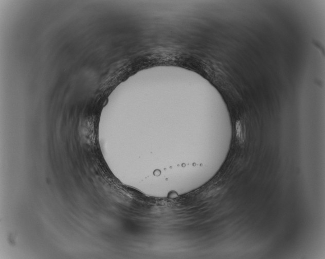 X0000100871203200807111309