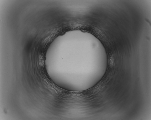 X0000100871204200807111309