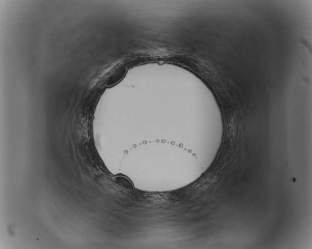 X0000100871205200807111309