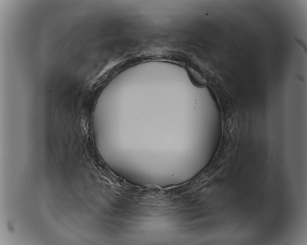 X0000100871206200807111309