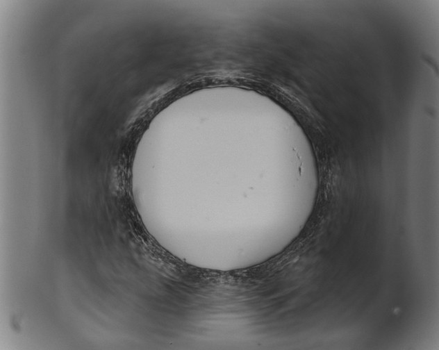 X0000100871207200807111309