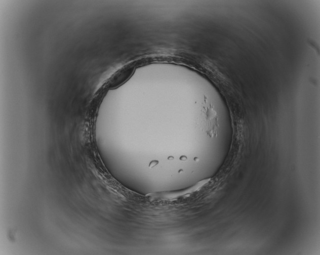 X0000100871208200807111309