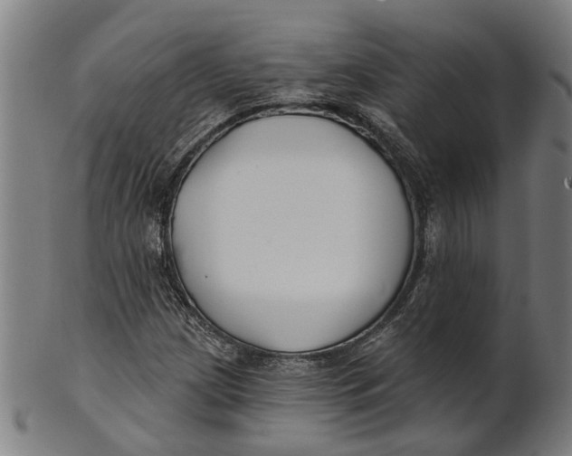 X0000100871209200807111309