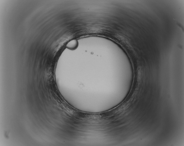 X0000100871210200807111309