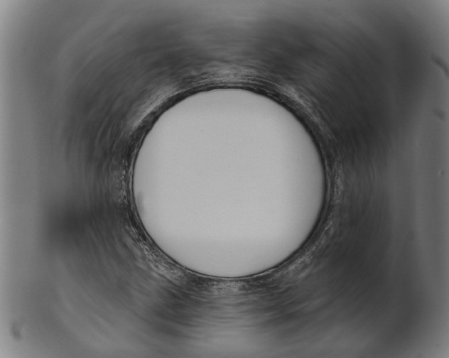 X0000100871211200807111309