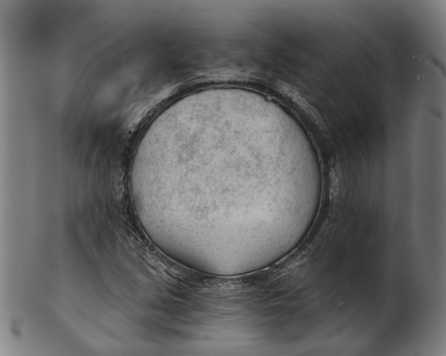 X0000100871213200807111309