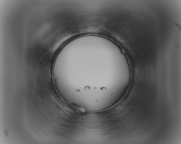 X0000100871214200807111309