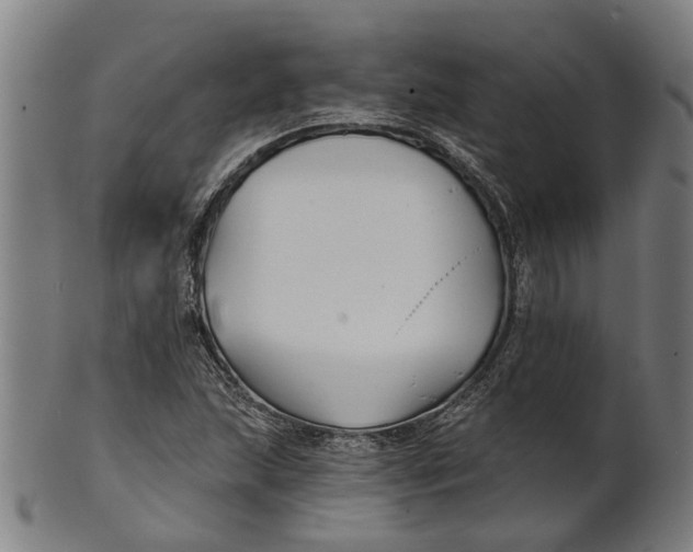 X0000100871215200807111309