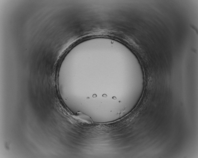 X0000100871216200807111309