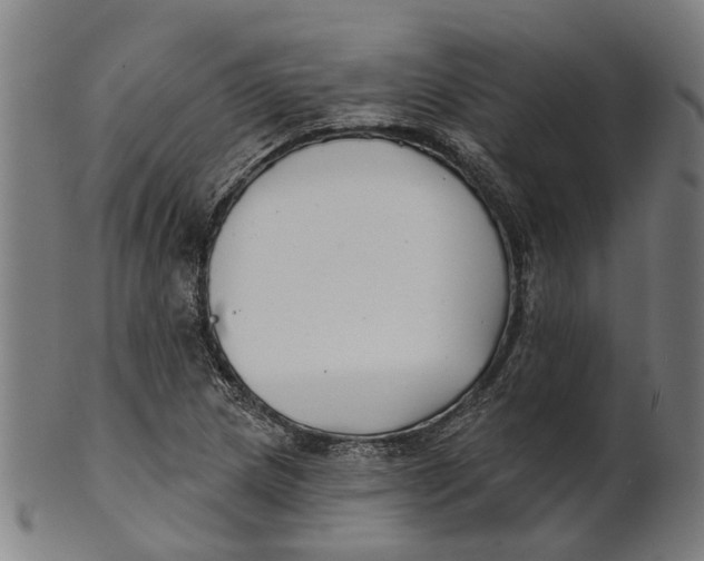 X0000100871217200807111309