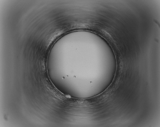 X0000100871218200807111309