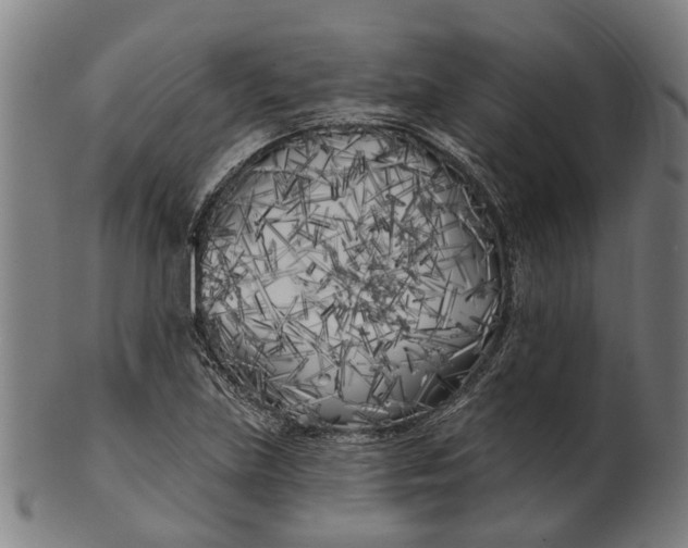 X0000100871219200807111309