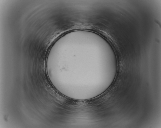 X0000100871220200807111309