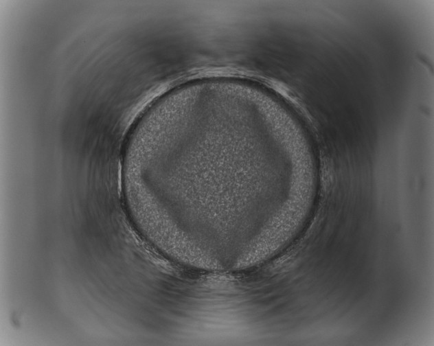 X0000100871221200807111309