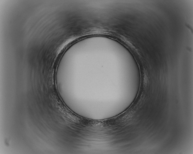 X0000100871222200807111309