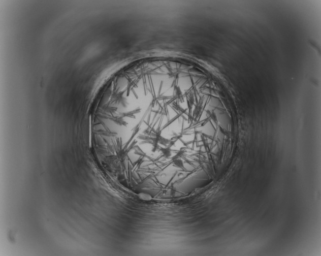 X0000100871223200807111309