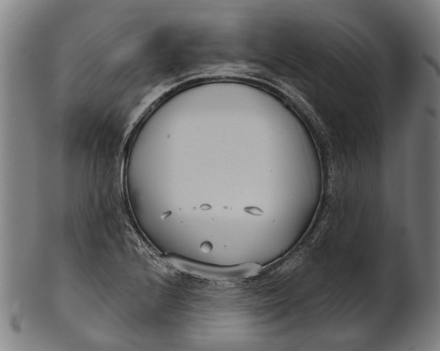 X0000100871224200807111310