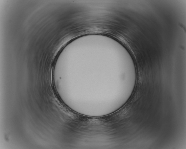 X0000100871227200807111310