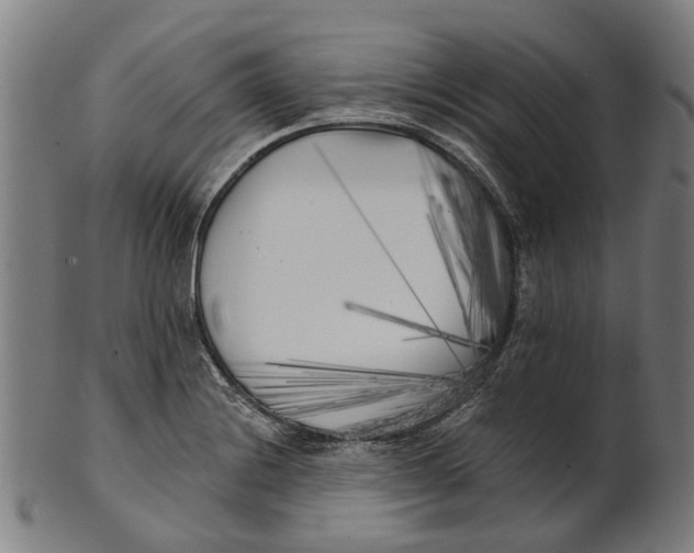 X0000100871228200807111310