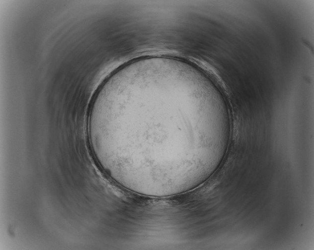 X0000100871231200807111310