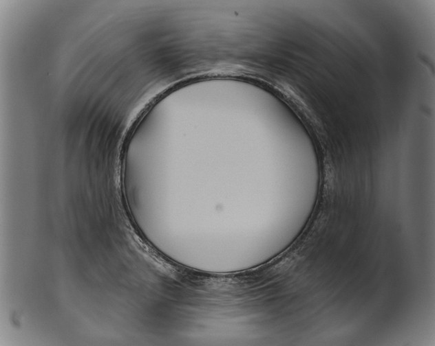 X0000100871232200807111310