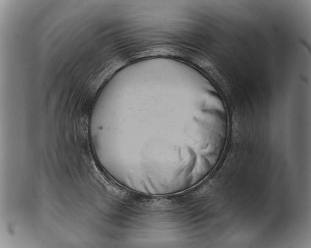 X0000100871233200807111310