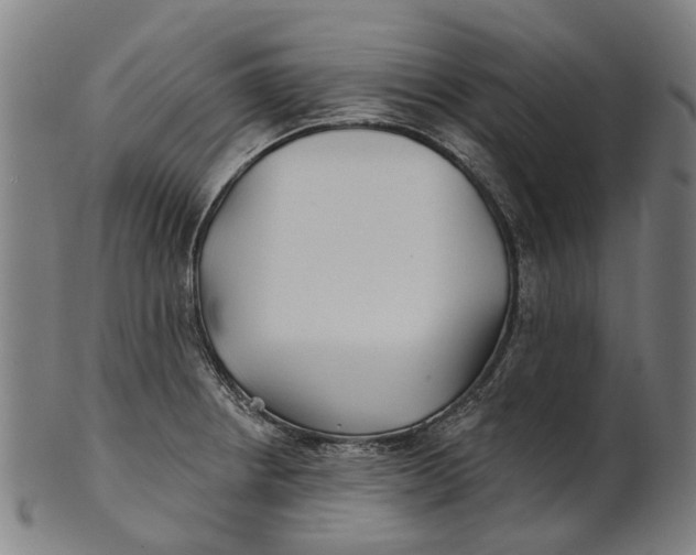 X0000100871234200807111310