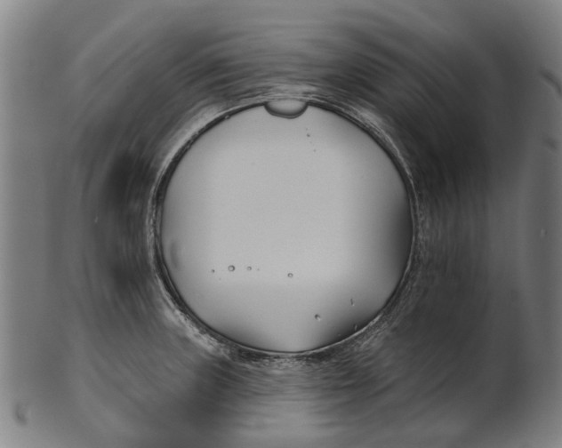 X0000100871235200807111310